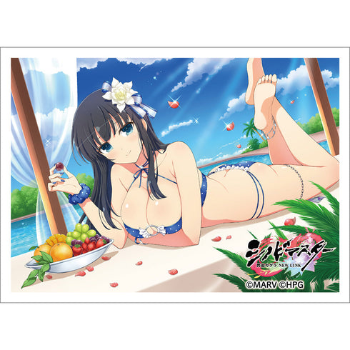 『シノビマスター 閃乱カグラ NEW LINK』スリーブ (斑鳩/人気投票爆乳祭)